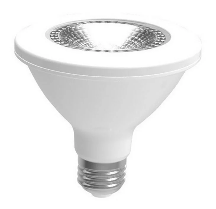 Lampada led par 30 biv 12w 6000k e27